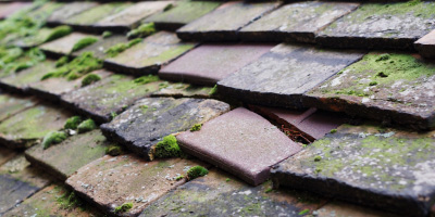 Filgrave roof repair costs